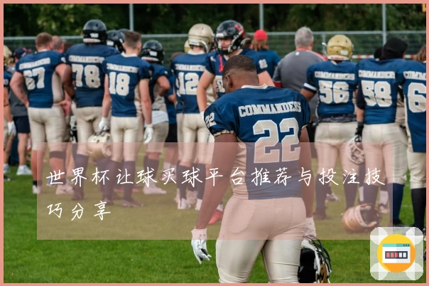 世界杯让球买球平台推荐与投注技巧分享
