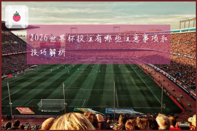 2026世界杯投注有哪些注意事项和技巧解析