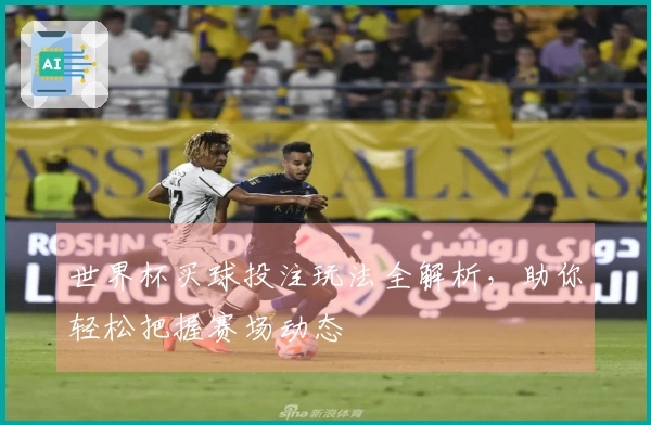 世界杯买球投注玩法全解析，助你轻松把握赛场动态