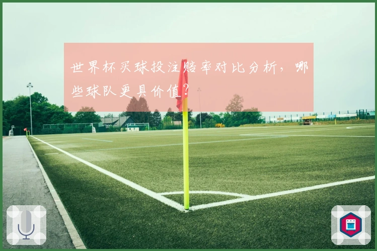 世界杯买球投注赔率对比分析，哪些球队更具价值？