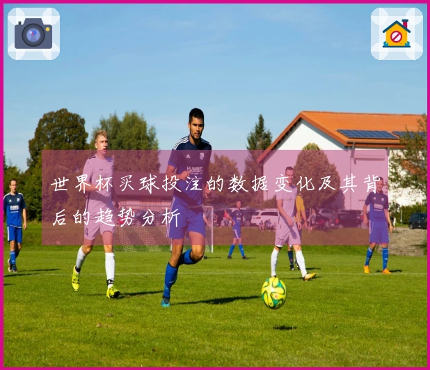 世界杯买球投注的数据变化及其背后的趋势分析